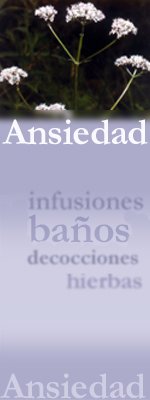 Rece Ansiedad