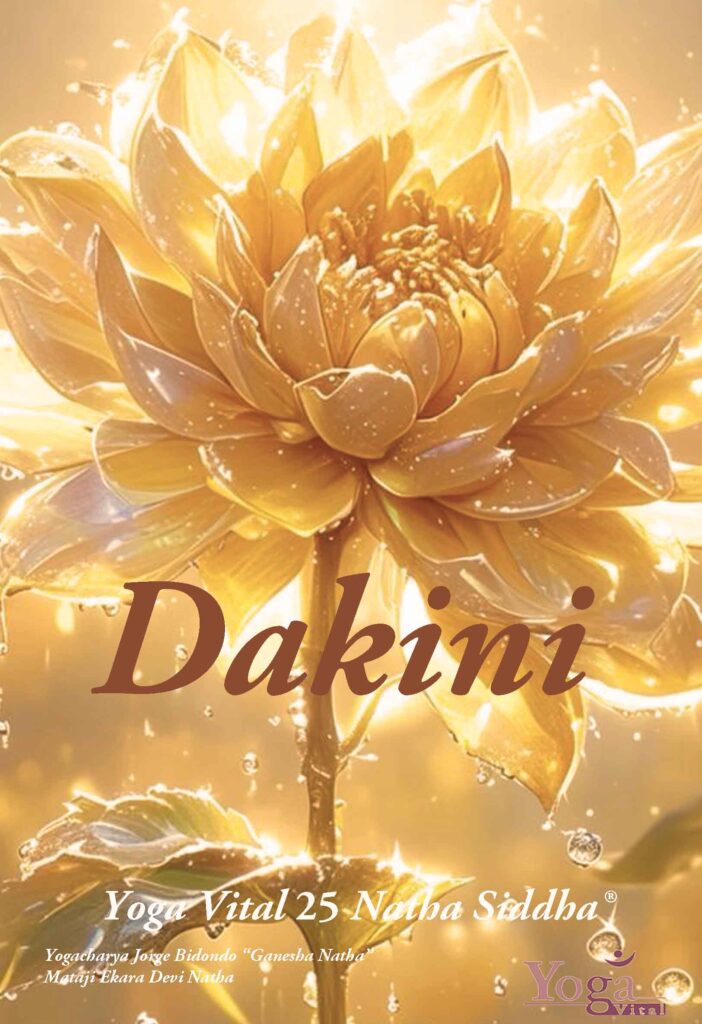 Mantras y Sonidos Vitales venta dakinitapa
