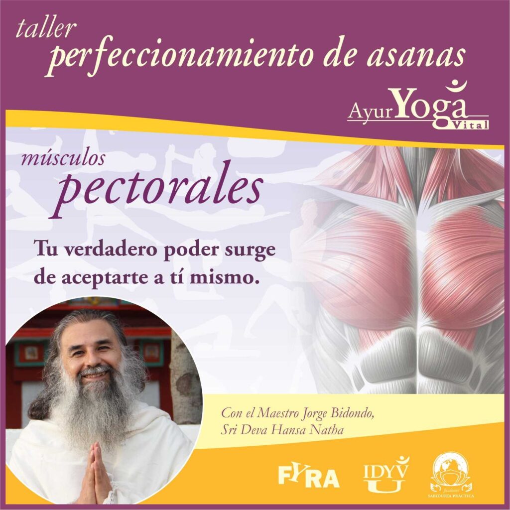 asana pectorales