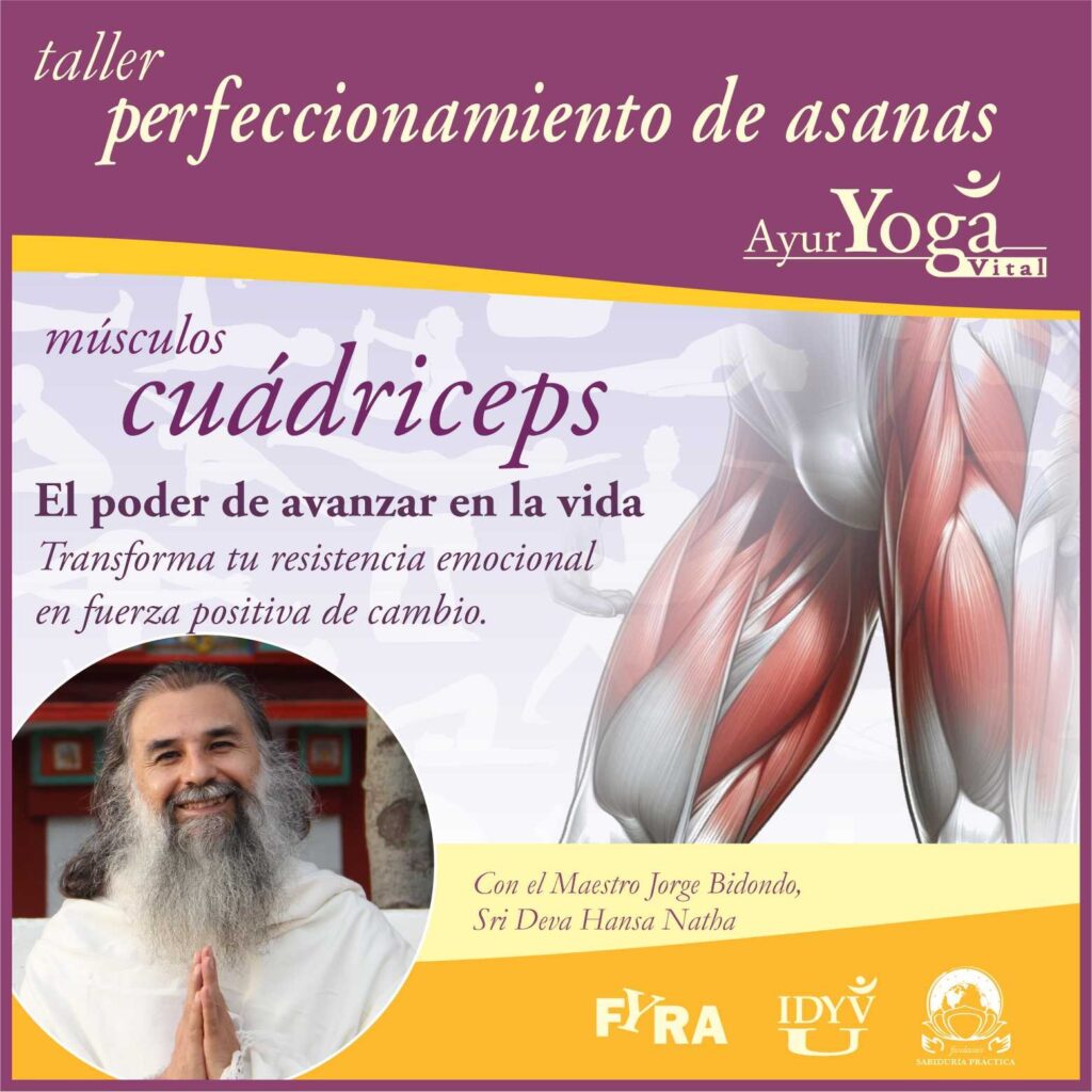 asanas cuadricep