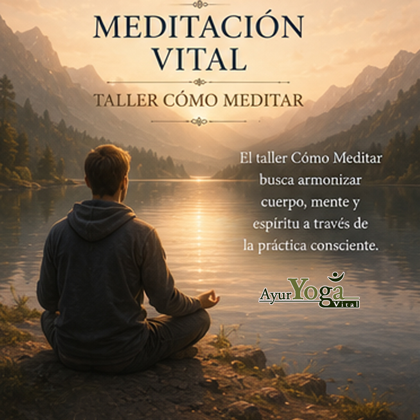meditacion vital como meditar