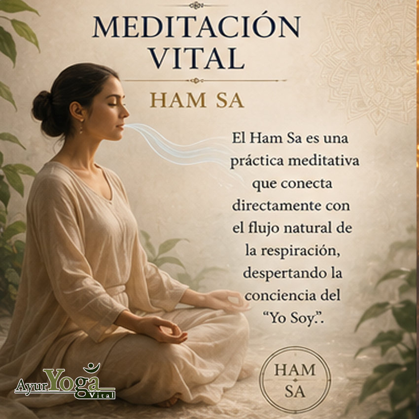 meditacion vital hamsa