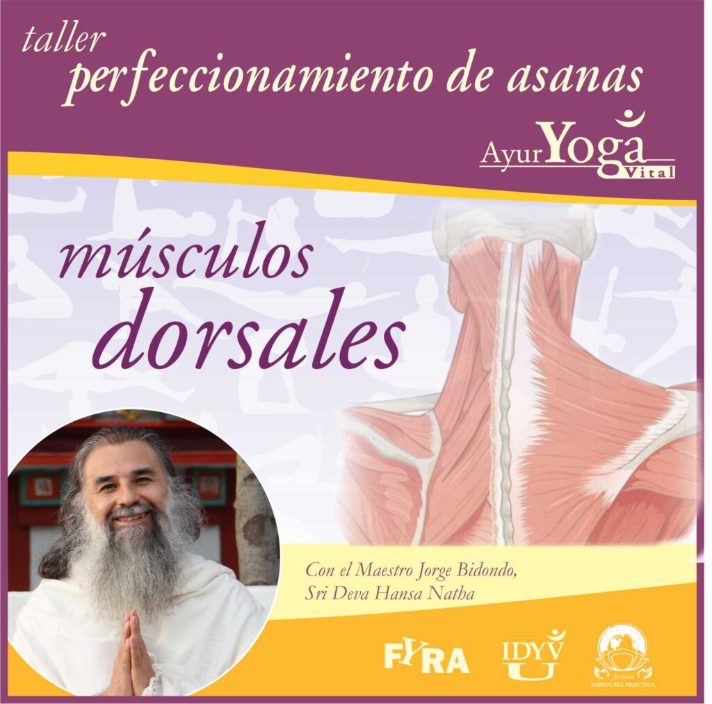 taller asana dorsales