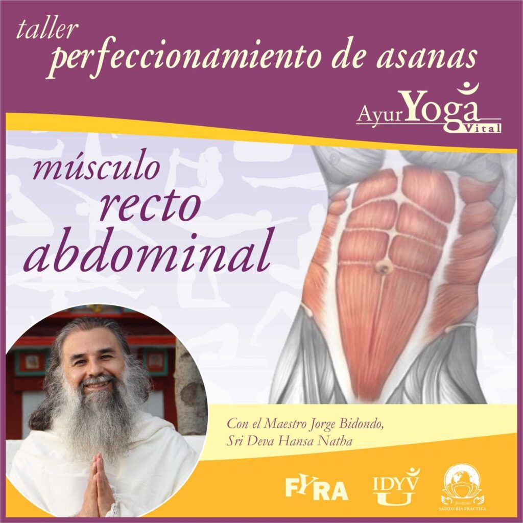 taller asana recto