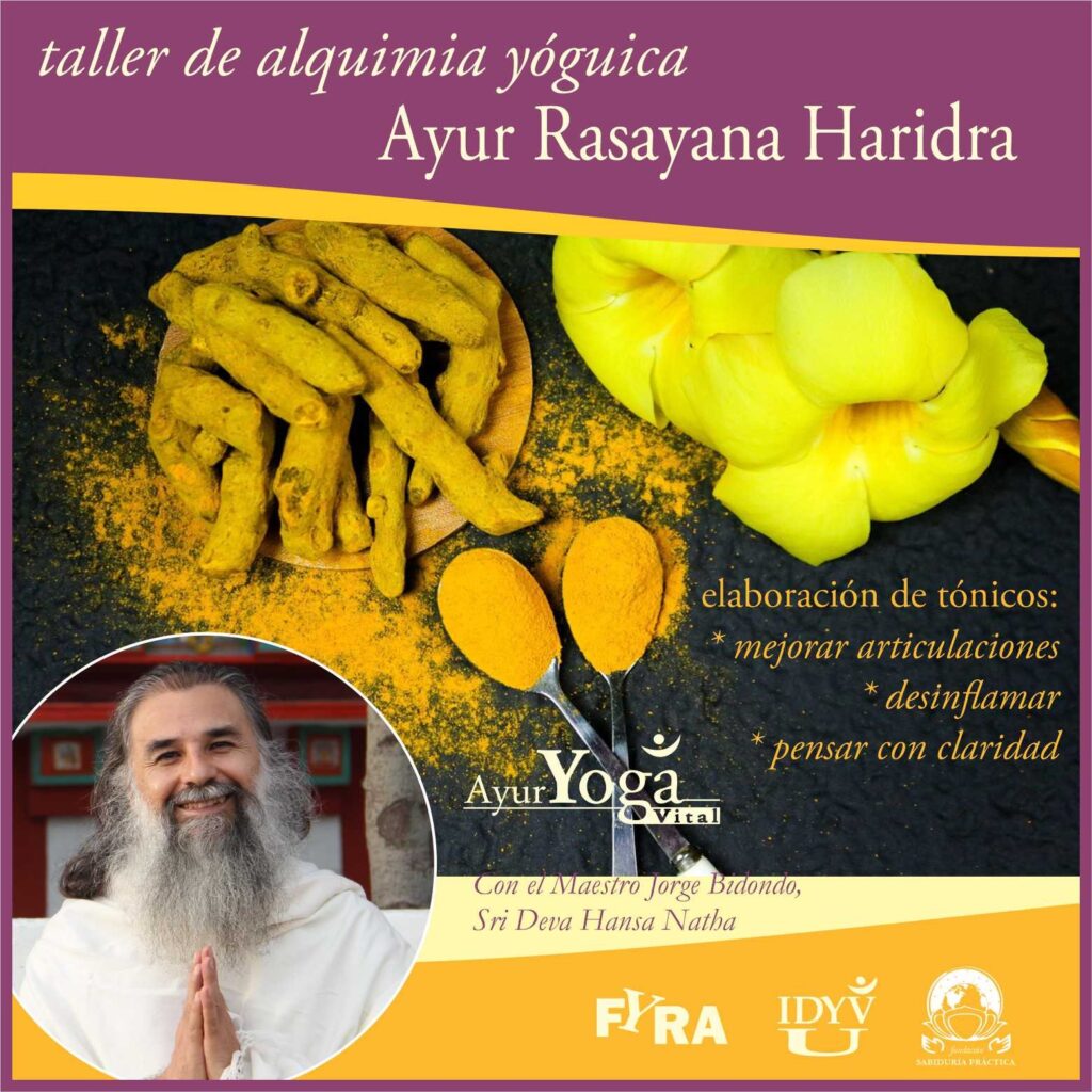 taller rasayana haridra
