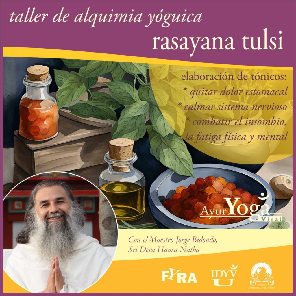 taller rasayana tulsi