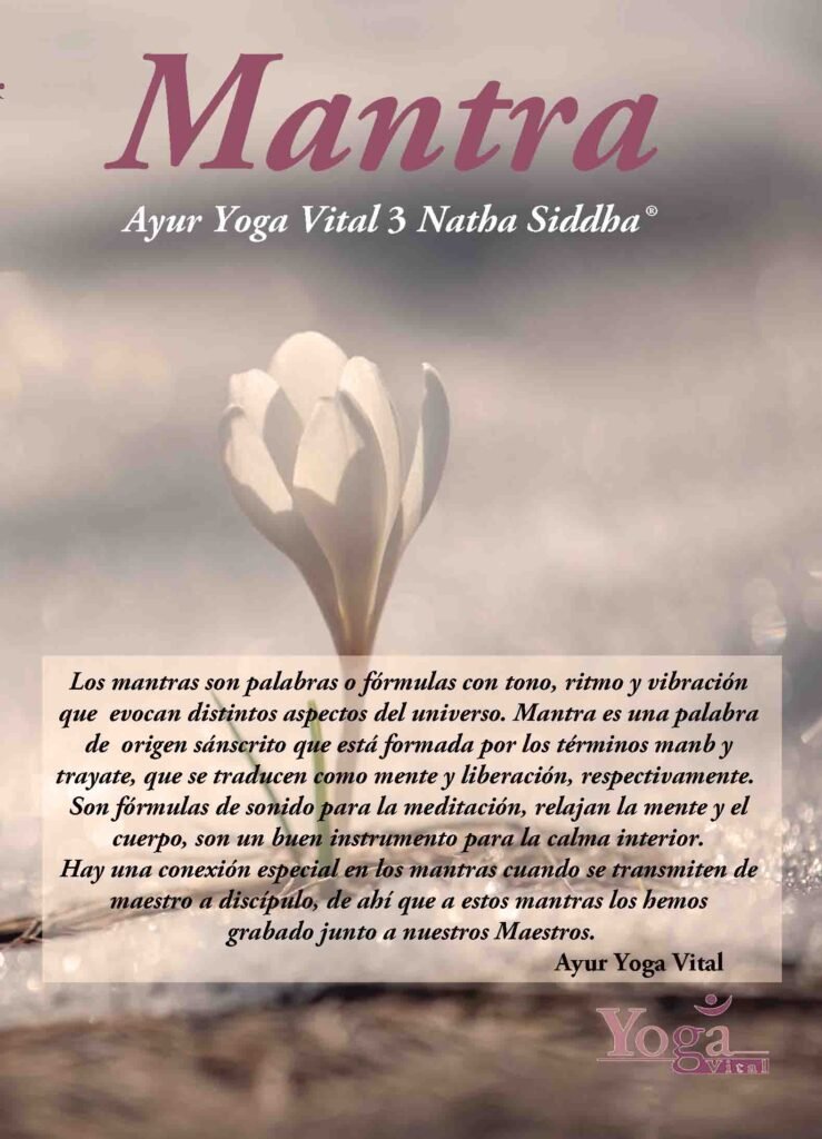 mantra yoga vital 3