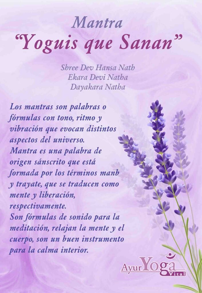 tapa dvd