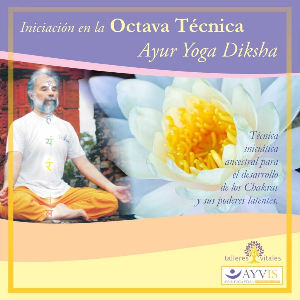 ayd 8 tecnica