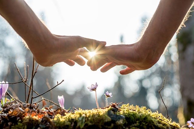 reiki 5