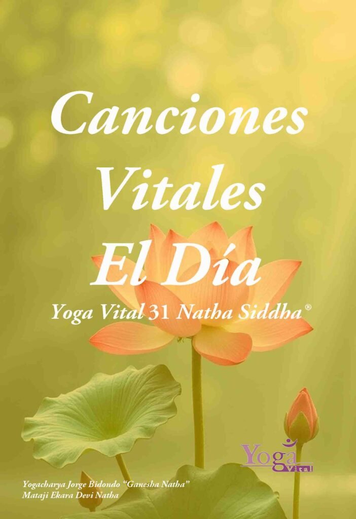 web 31 canciones el dia